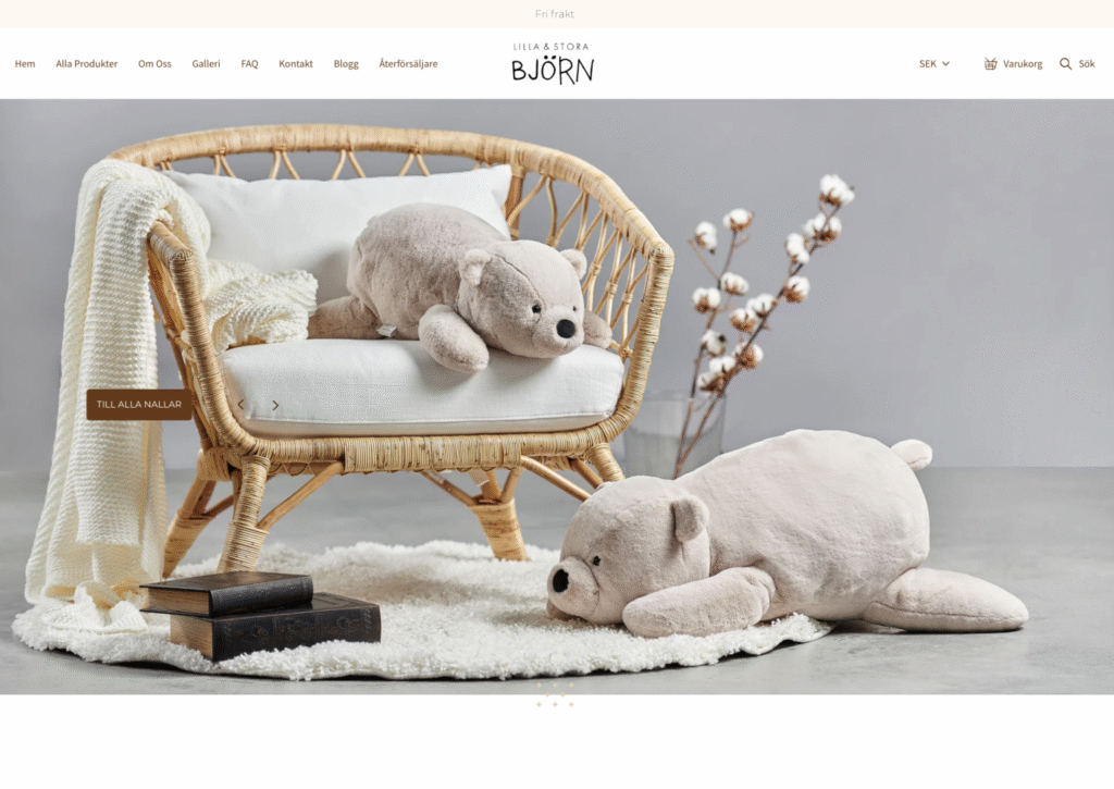 Shopify: Store Setup and Customization