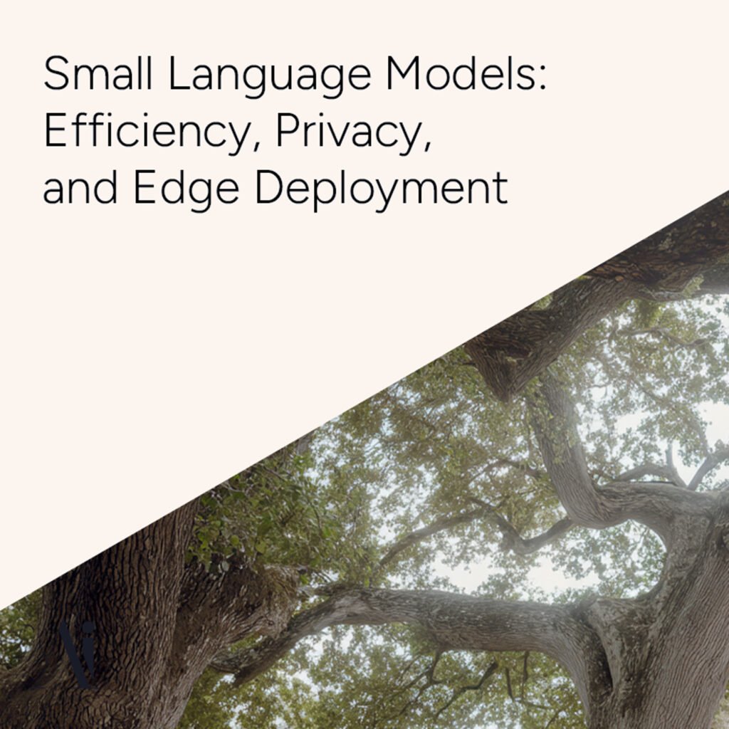 The Rise of Small Language Models - SLMs - Efficiency, Privacy, a