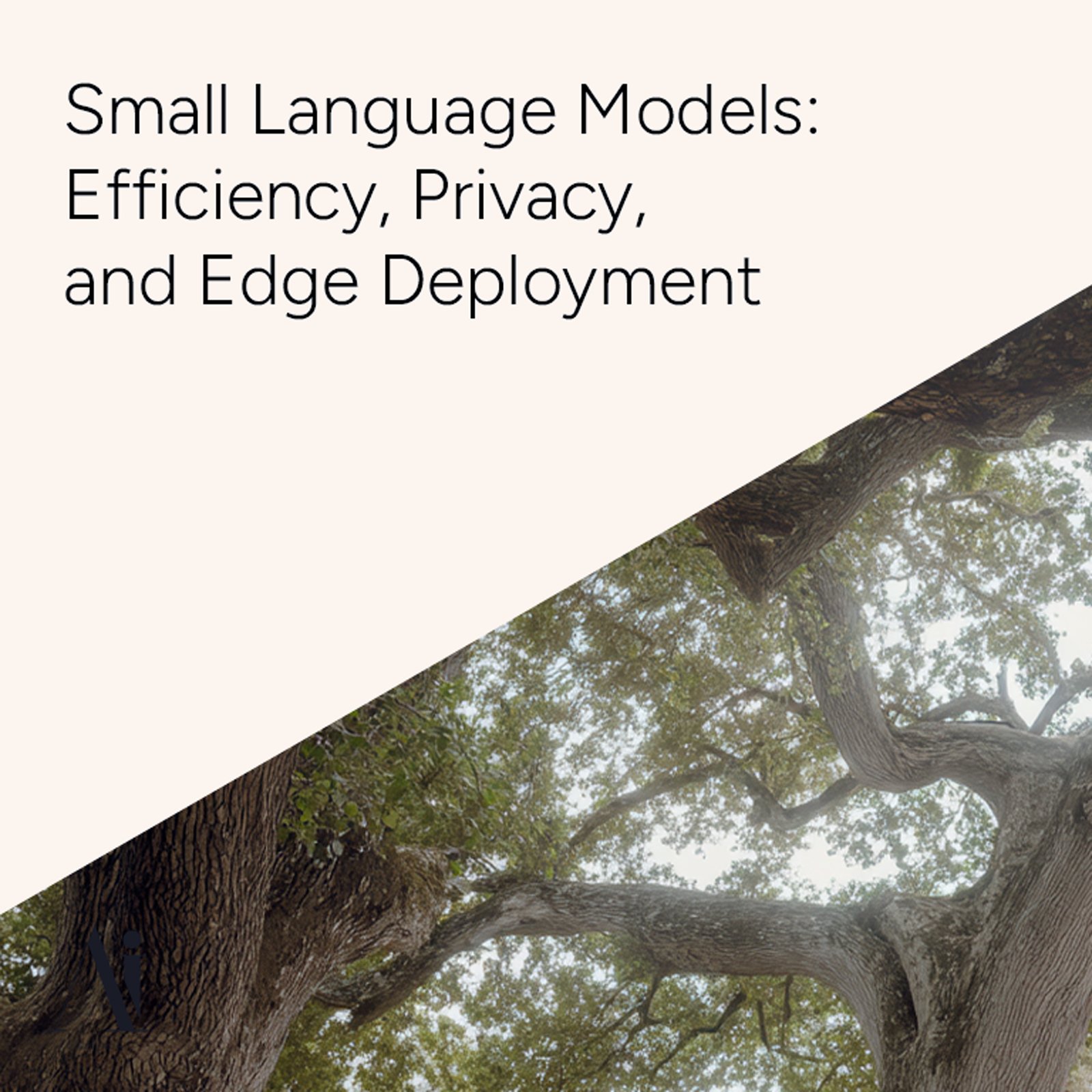 The Rise of Small Language Models - SLMs - Efficiency, Privacy, a