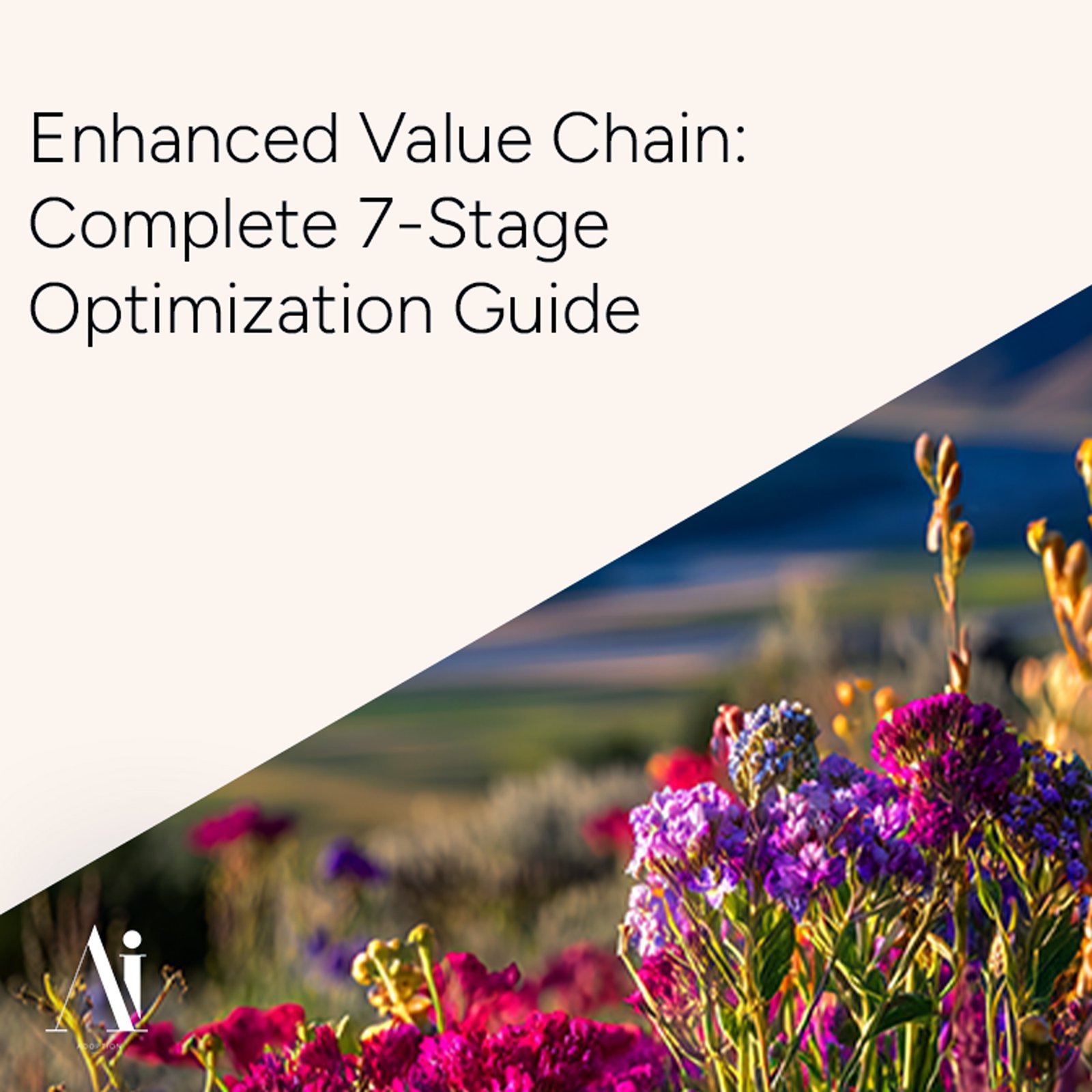 Enhanced Value Chain - Complete 7-Stage Optimization Guide